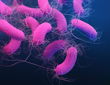 PSEUDOMONAS AERUGINOSA IN WATER ANALYSIS